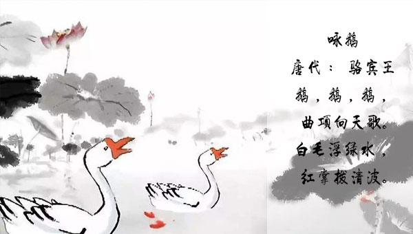 【国学动画】唐诗故事动画之咏鹅