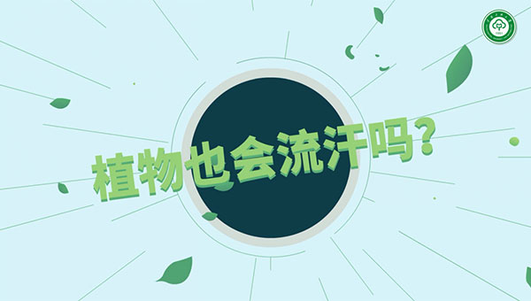科普动画专题宣传片制作：植物“流汗”背后的秘密
