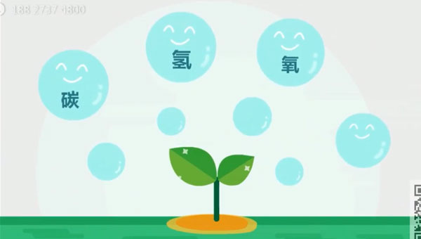 福建农林大学特色光电子植物照明系统产品动画设计制作 福建农林大学特色光电子植物照明系统产品动画设计制作