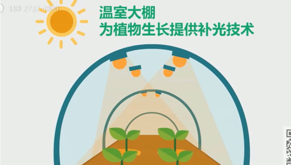 福建农林大学特色光电子植物照明系统产品动画设计制作 福建农林大学特色光电子植物照明系统产品动画设计制作