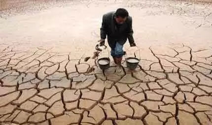 1553677395820294.jpg 1.jpg